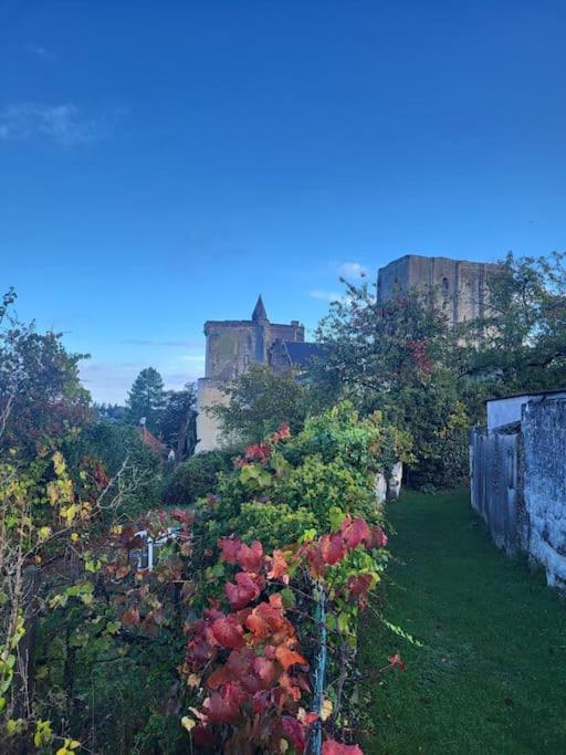 La Maison Du Donjon - De 8 Personnes, Parking Prive Avec Jardin Terrasse *